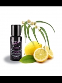 Massage oil Stimulante PASSAGE SOUS TES REINS - Eucalyptus - Lemon